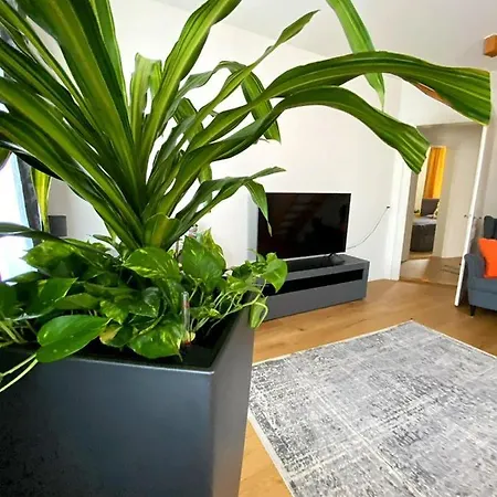 Stylish Two-Floor Apartment In A Heart Of Basel Exterior photo