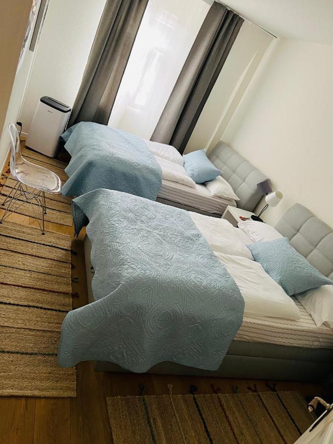Apartment Stylish Two-floor In A Heart Of Basel