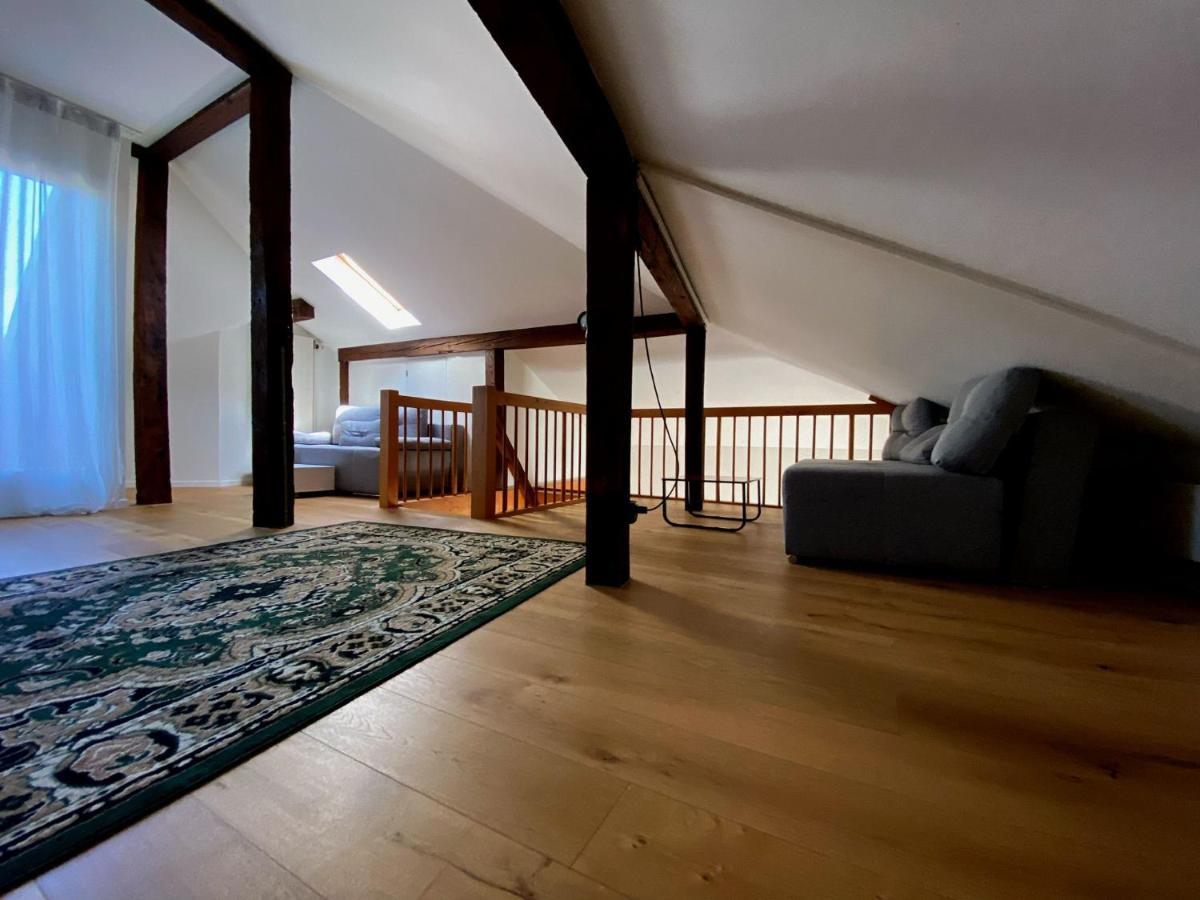 Stylish Two-floor In A Heart Of Apartment Basel